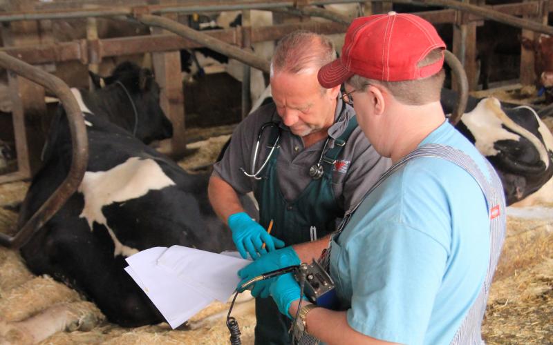 A Dairy Manager working with an employee to determine breeding protocols on the SDSU Dairy Research and Teaching Unit