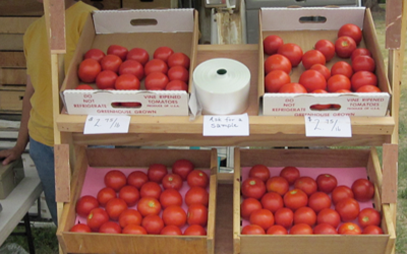 an image of fresh tomatoes
