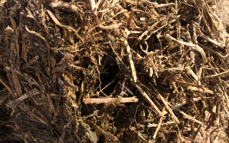 Hay with a brown, carmelized color.