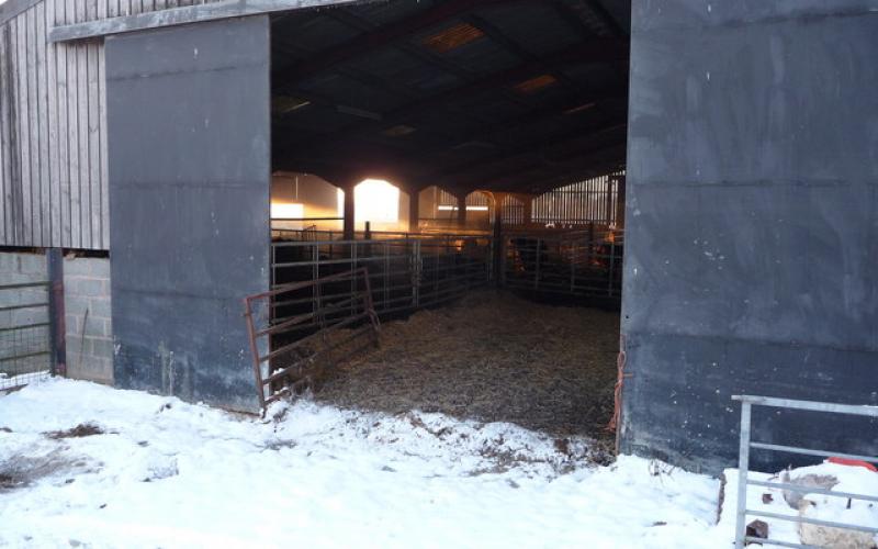 A calving barn.