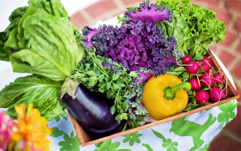 variety of fresh vegetables in basket