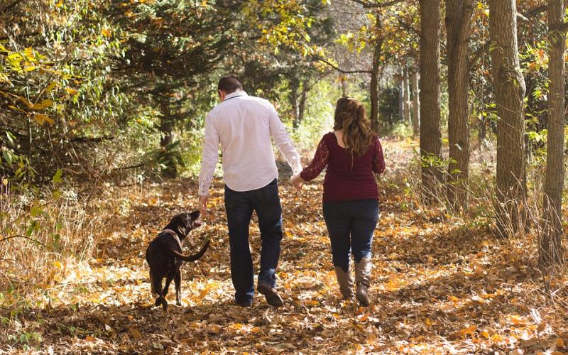 a couple walking with their dog in the woods