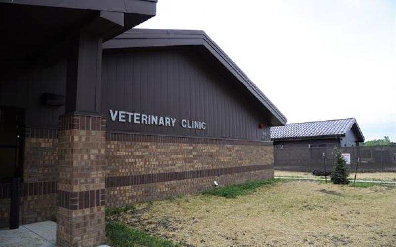 Outside of a veterinary clinic.