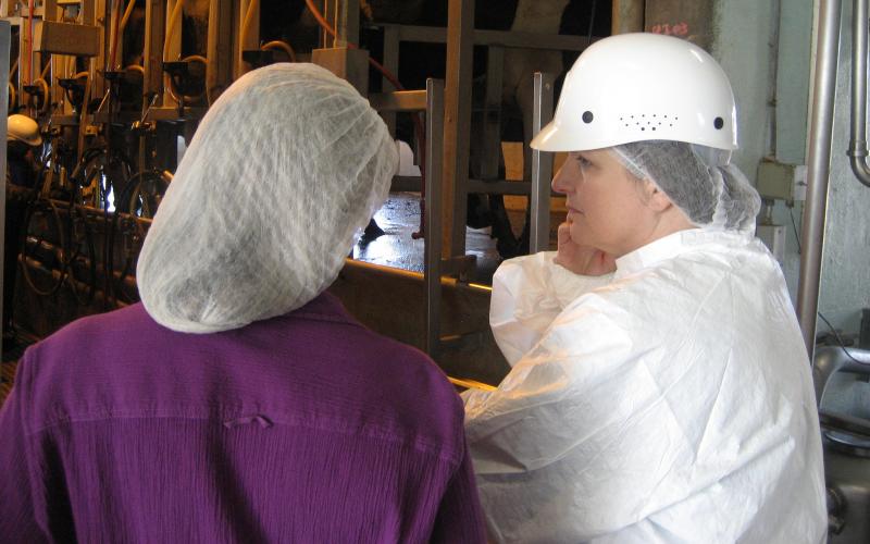 Dairy worker giving tour of dairy facility.