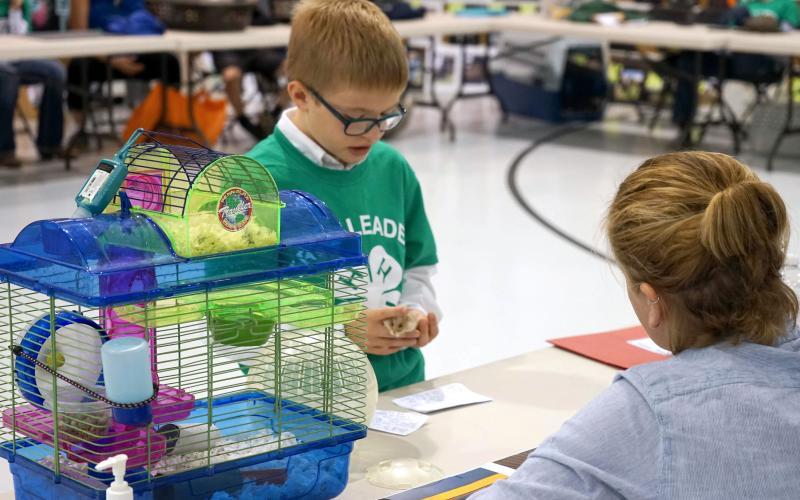 a young male 4-H youth showing a hamster to a judge