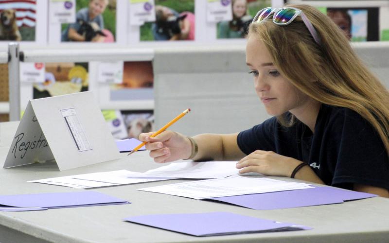 female 4-H youth reviewing paperwork at a table