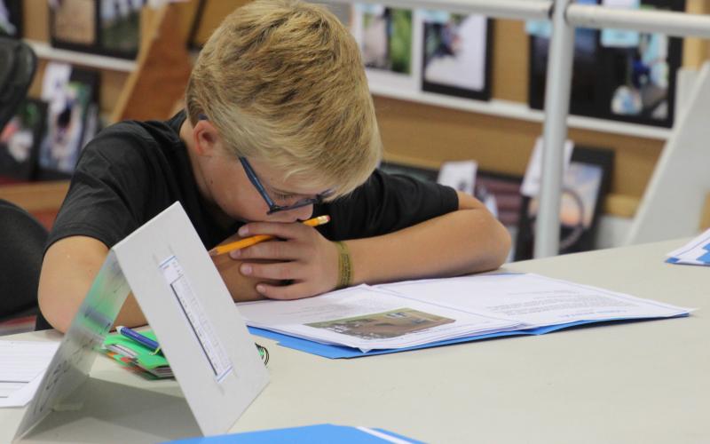 male 4-H youth reviewing paperwork at a table