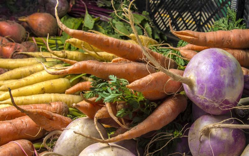 an assortment of fresh garden vegetables