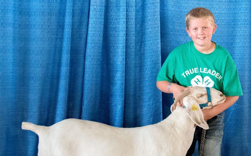 male 4-H youth standing with a white meat goat
