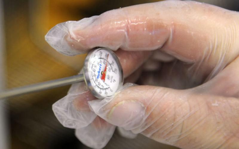 hand in plastic glove holding meat thermometer