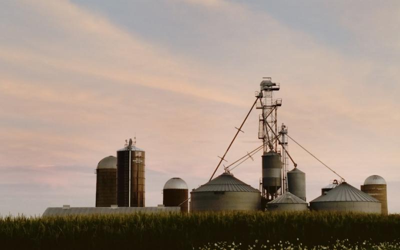sun rising over a cornfield. several grain bins are in the background.