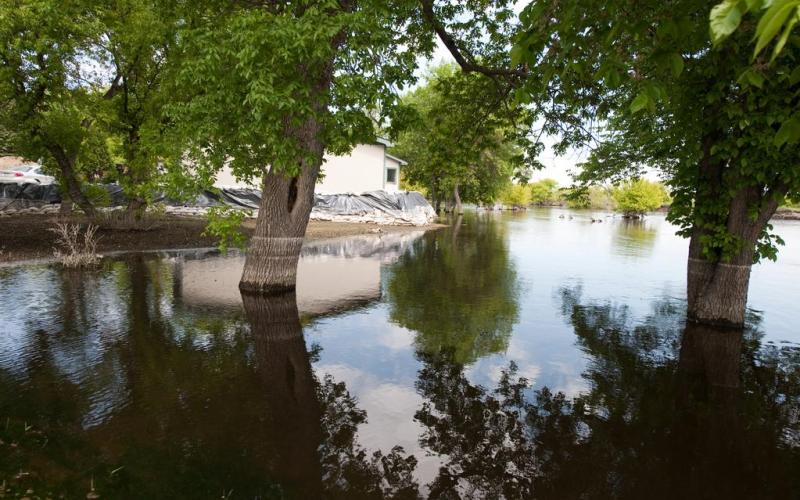 a flooded yard and garden. Photo by Samir Valeja, FEMA