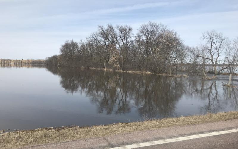 a flooded alfalfa field