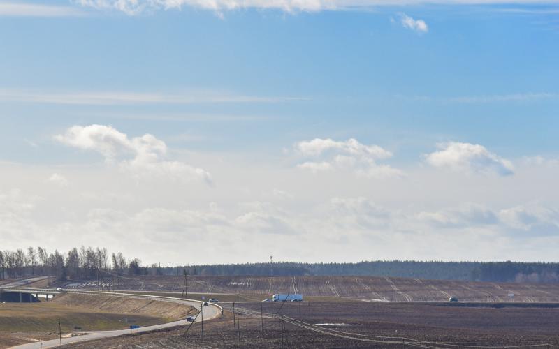 partially flooded spring wheat field in early spring.