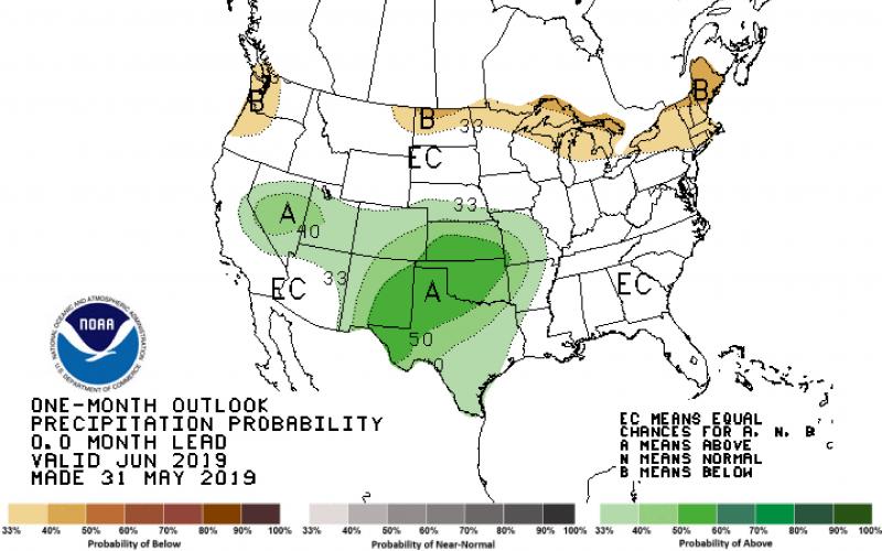 A color-coded map of the United States indicating precipitation outlook for June 2019.