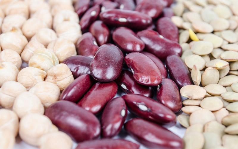 Uncooked chickpeas, red beans, and lentils arranged on a countertop.