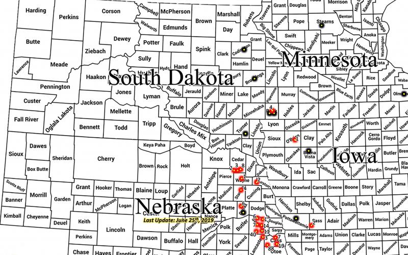 Black and white county map of South Dakota, Minnesota, Nebraska and Iowa. Red dots within counties indicate soybean gall midge emergence. Black dots represent trap locations.