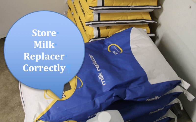 Milk Replacer being stored poorly on the floor in a facility. Courtesy: Tracey Erickson
