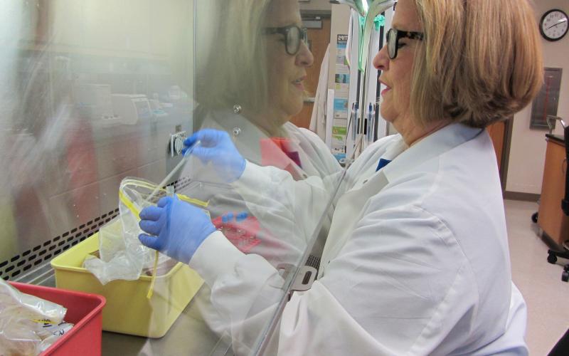 A female food scientist in a white lab coat and blue gloves conducting a test on a food sample.