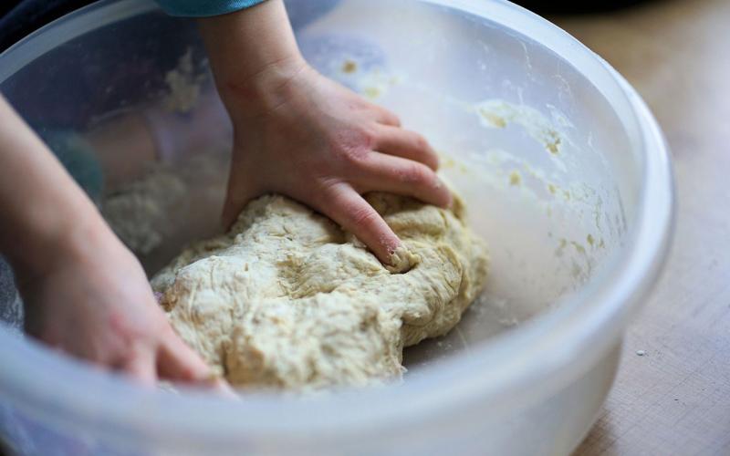 A pair of hands kneading a hydrated dough inside a plastic mixing bowl.