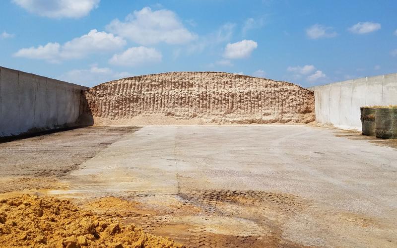 Corn earlobe being stored in a bunker for later use as cattle feed.