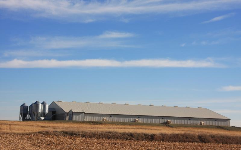 A large swine barn at the edge of a field.