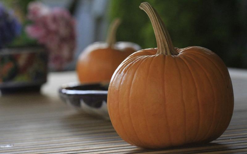 To small pumpkins sitting on a kitchen counter.