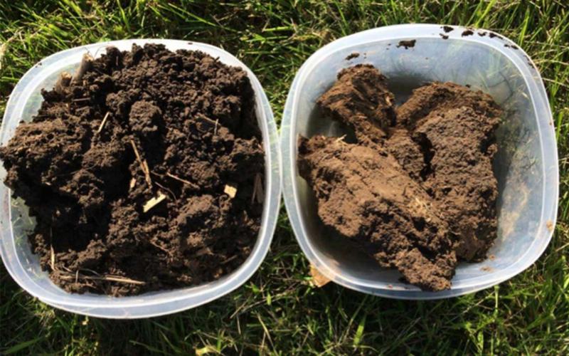 Left: Soil from long-term no-till field, exhibiting good soil aggregation through clumping and smaller pieces of soil. Right: Soil from conventionally managed field that included tillage and crop residue removal. Notice the soil is lighter brown, indicating lower organic matter, and the pieces of soil are in larger chunks with no visible indication of clumping or structure.
