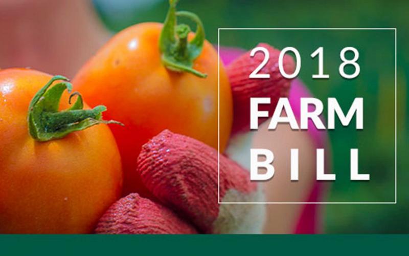 A pair of hands wearing garden gloves holding tomatoes. A white text overlay reads "2018 Farm Bill." This image is courtesy of the USDA Farm Service Agency.