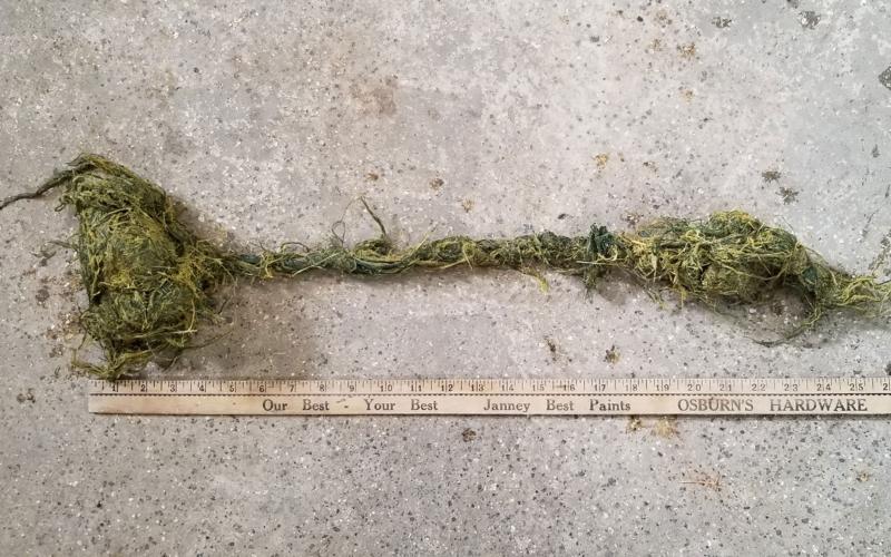 Pieces of net wrap and forage wadded up together, with a nob approximately 6 inches across at the top and 4 inches long, with a 1 inch rope like structure that is 13 inches long leading to another nob that is approximately 2 inches across and 8 inches long.