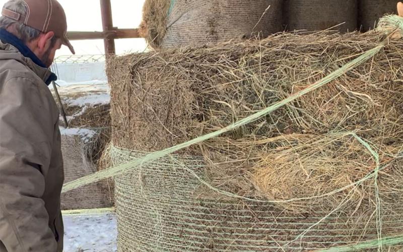 A male producer removing net wrap from an upright bale.