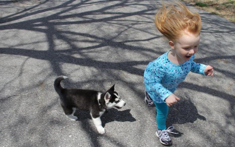 A young female child with red hair running outside alongside a puppy.