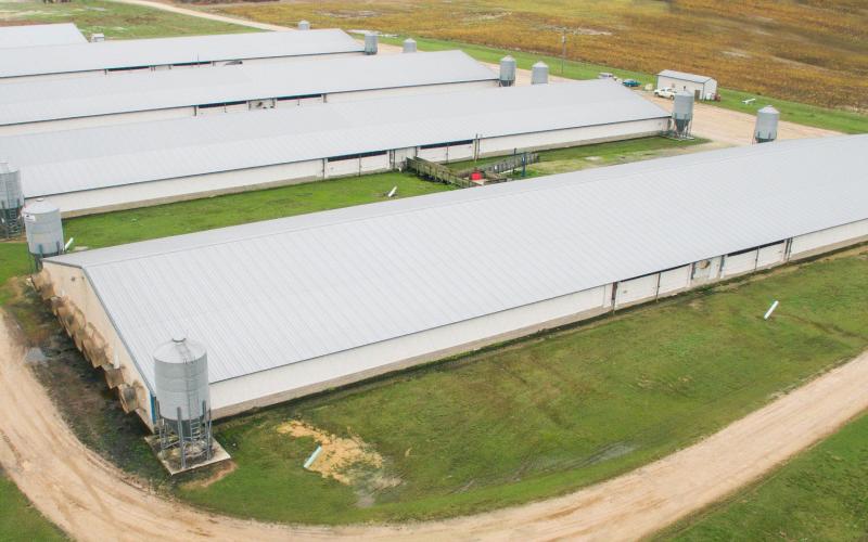 An aerial view of a series of swine finishing facilities.