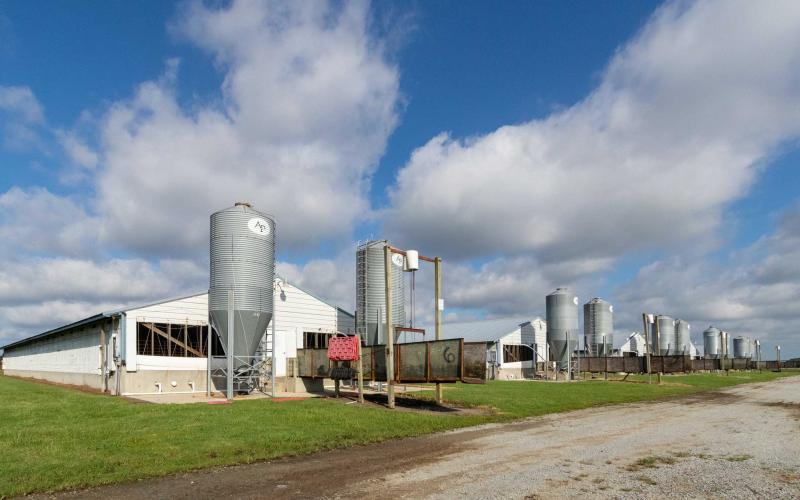 A series of hog barns.