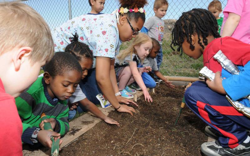 A group of children observing a bed of garden soil with a teacher.