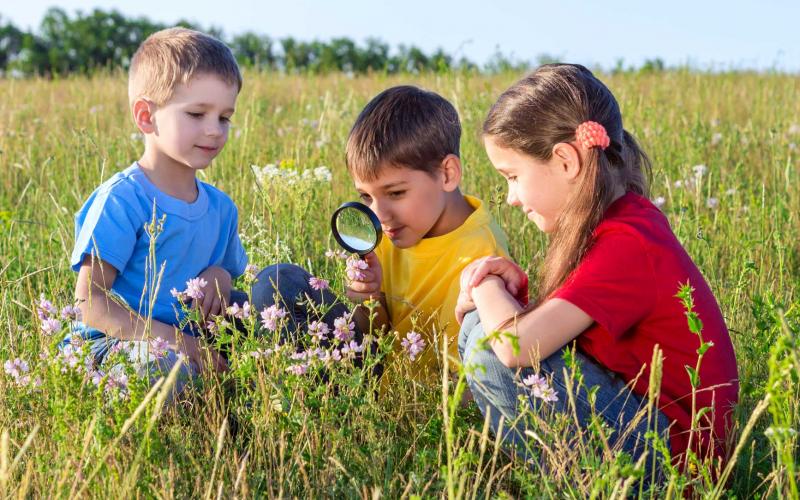 A group of children examining the parts of a wildflower in a meadow.