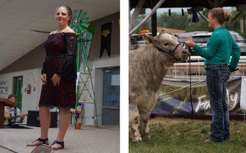 Left: Maggie DeMers showing a dress on stage. Right: Maggie with a harnessed cow at a 4-H event.