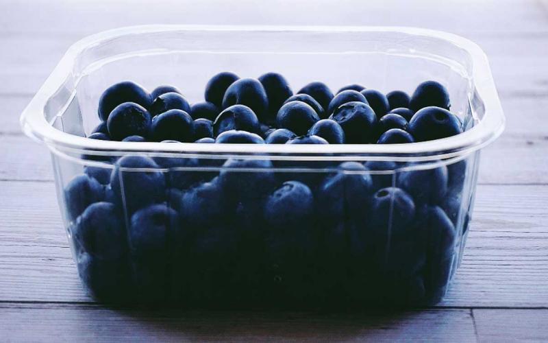 Blueberries inside a plastic storage container.