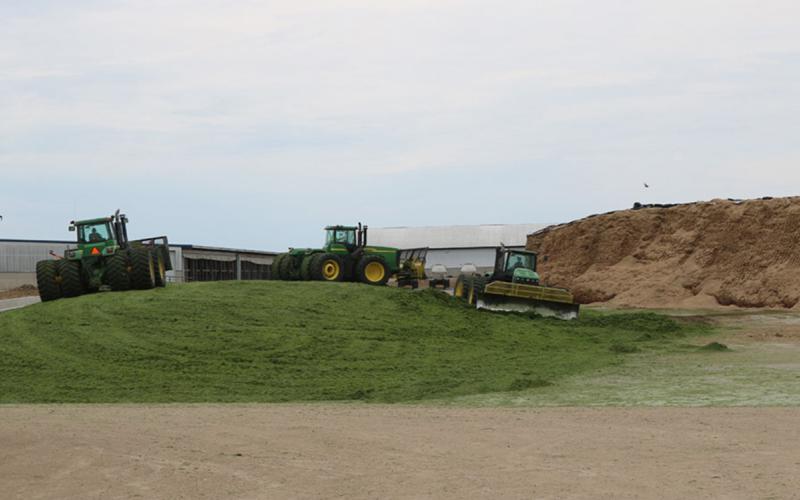 Three John Deere Tractors moving silage and packing the corn silage to make a drive over silage pile.