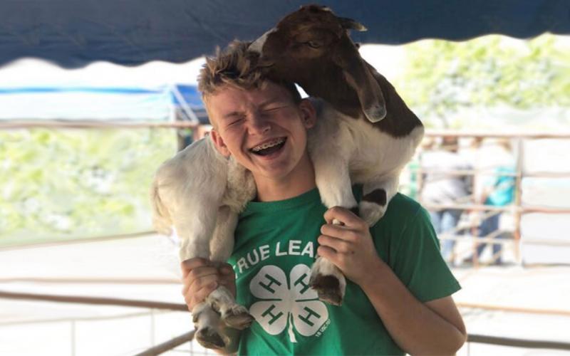 Carter Effling holding a goat over his shoulders at a 4-H event.