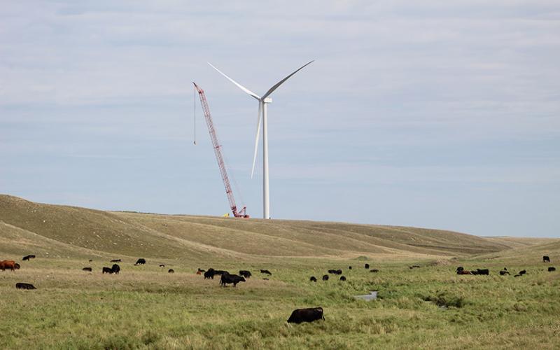 Field with livestock grazing with a crane and wind turbine in the background Field with livestock grazing with a crane and wind turbine in the background