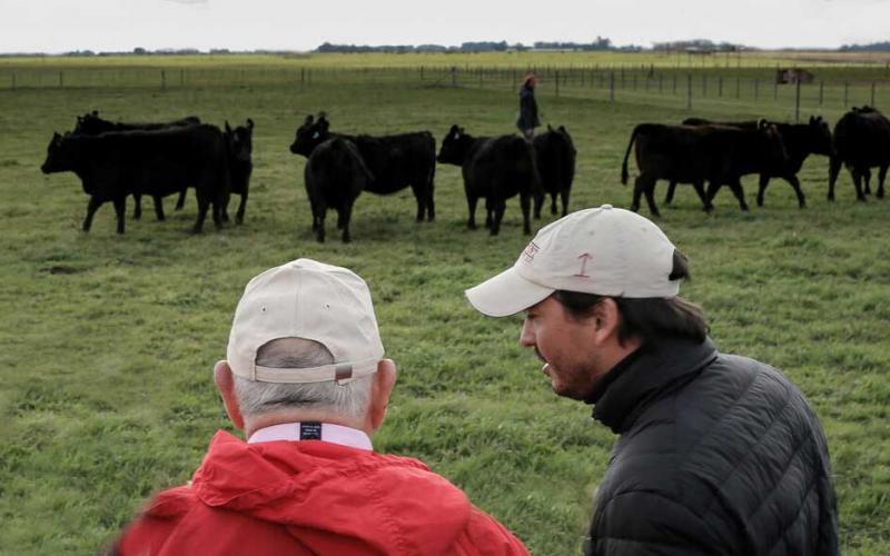 Ranchers observing a small group of cattle at pasture.