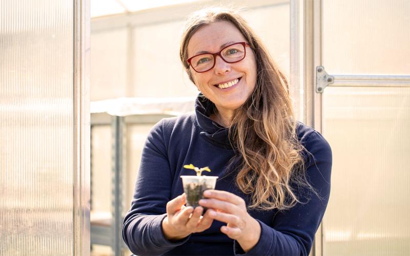 Master gardener holding a tomato seedling outside a greenhouse.