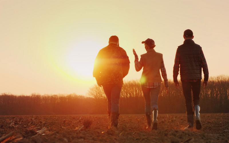 Three young farmers walking through a harvested field at sunset.