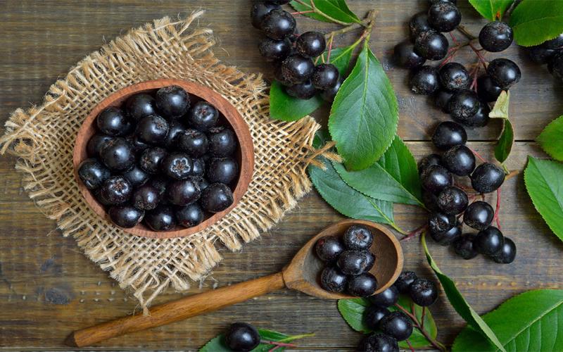 Aronia berries arranged on a kitchen countertop.