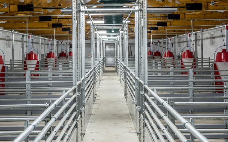 Swine facility interior.