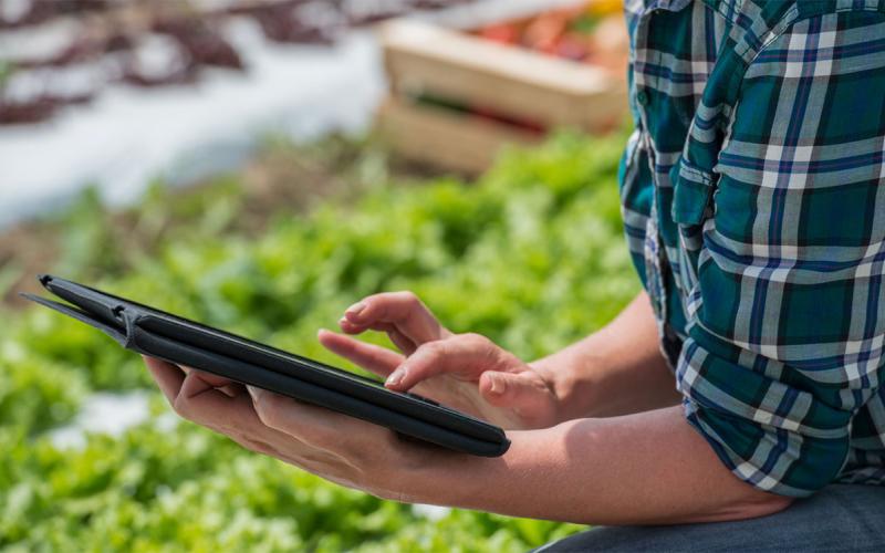 Woman browsing a digital tablet in her garden.