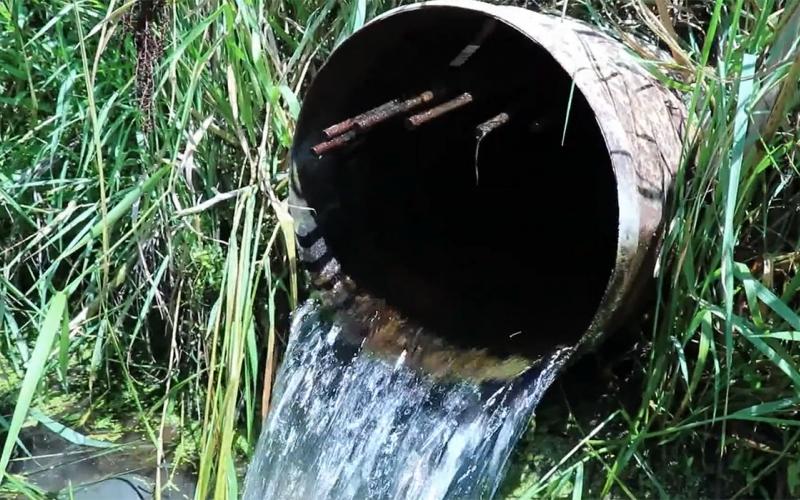 Water flowing from a drain tile pipe.