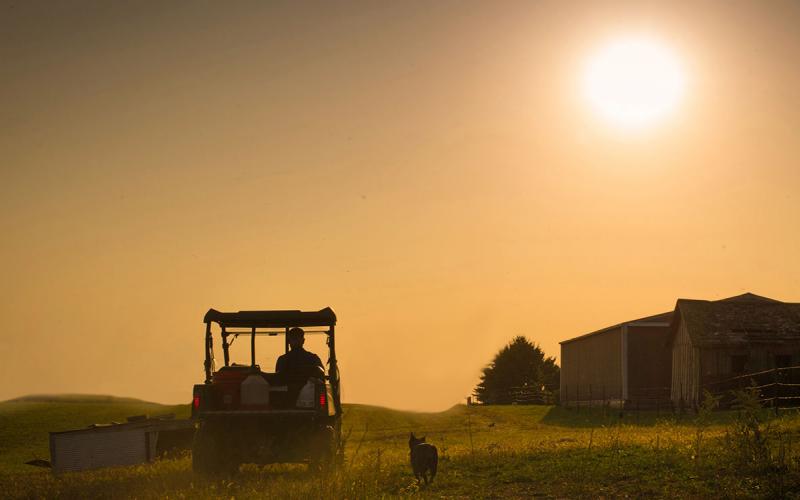 Producer inspecting rangeland in an ATV with his dog following behind.