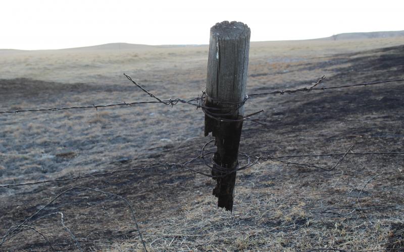 fence post burnt by wild fire